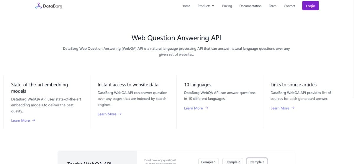 Databorg.ai