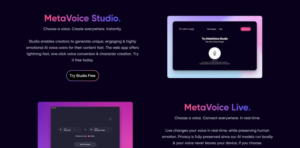 Metavoice AI